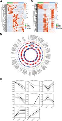 Identification of circular RNAs in cardiac hypertrophy and cardiac fibrosis